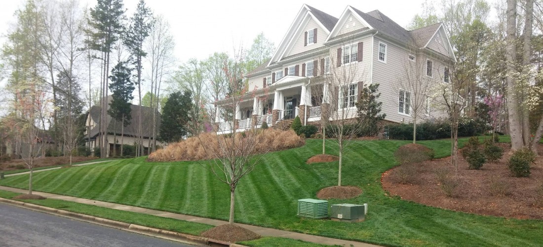 Residential Lawn Maint. Main pic