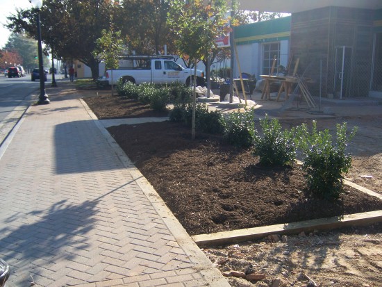Commercial Services: landscaping